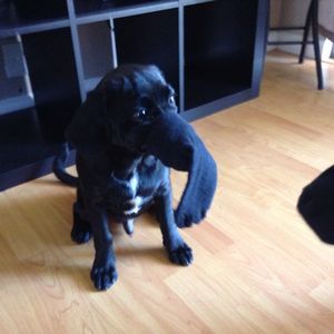 Meet your Posher, Cinthya